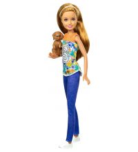 Кукла Barbie Сестры с питомцами DMB29