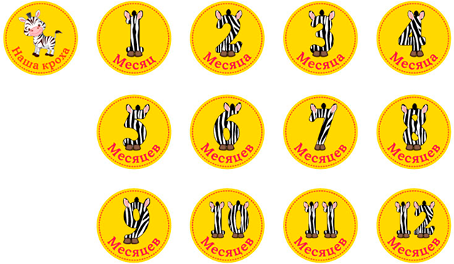 Набор наклеeк унисекс Stick n Click «Зебры»