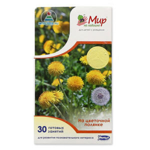 Мир на ладошке Умница "НА ЦВЕТОЧНОЙ ПОЛЯНКЕ"