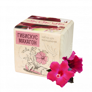 Eco Экокуб "Гибискус Махагон"