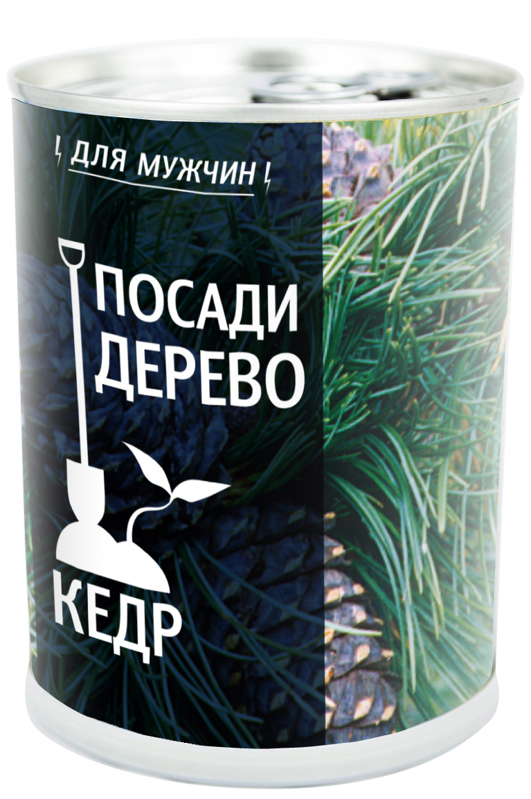 410817 Набор для выращивания "Посади дерево КЕДР"