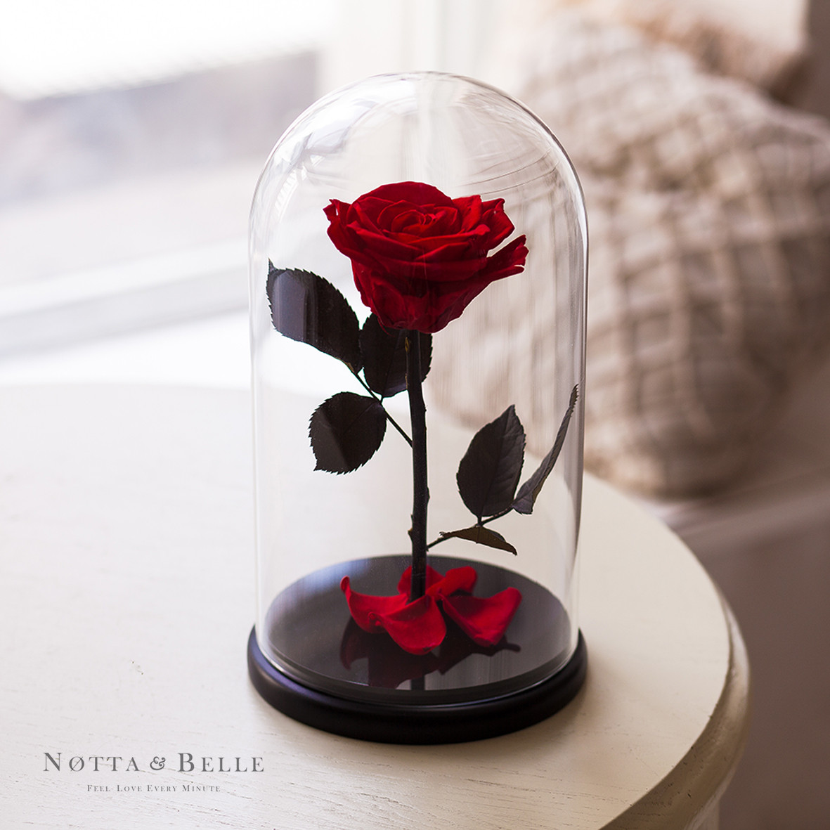 Premium Роза в стеклянной колбе  (красная)