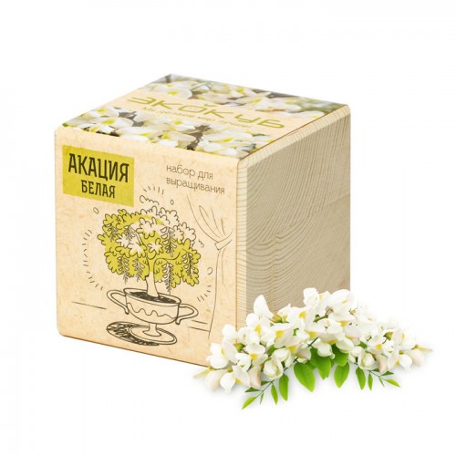 Eco ЭкоКуб «Акация белая»
