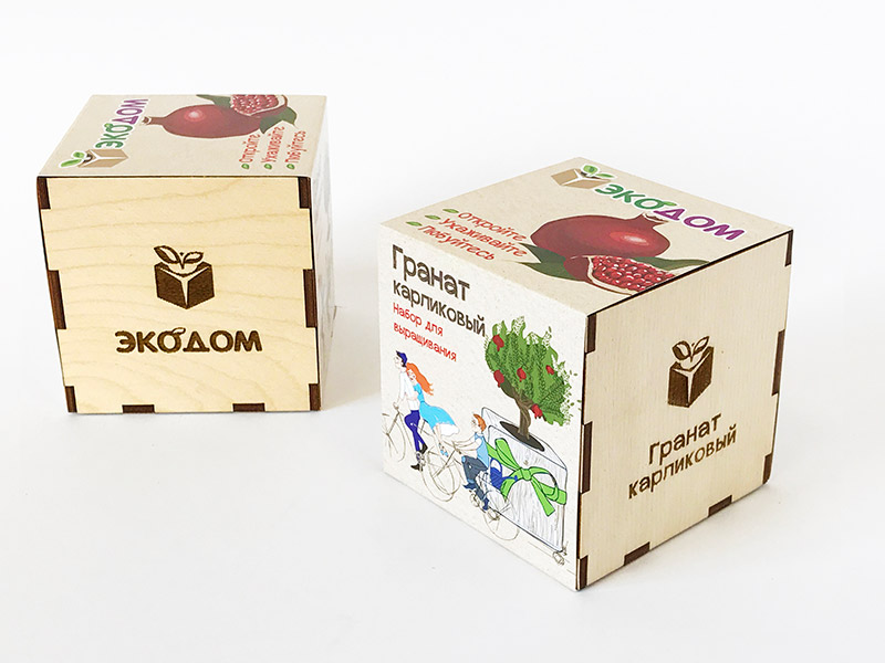 Eco Подарочный набор для выращивания в кубике ЭкоДом "Гранат карликовый"