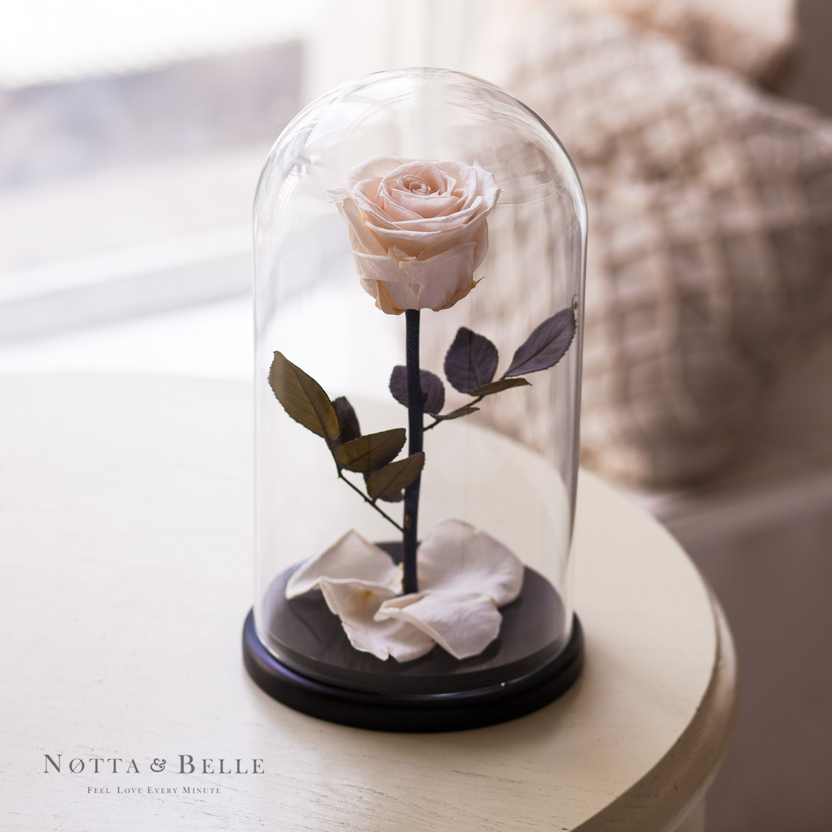 Premium Роза в стеклянной колбе  (шампань)