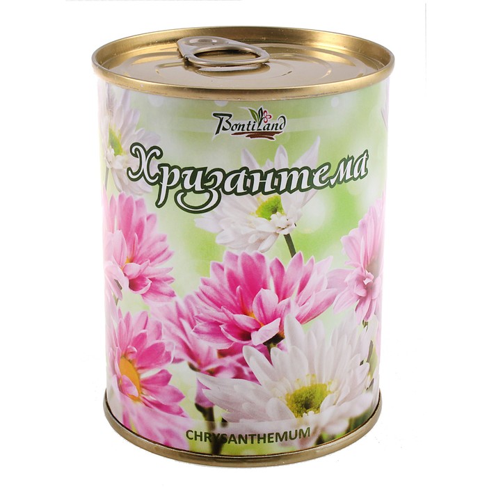 410510 Цветок в банке "Хризантема"