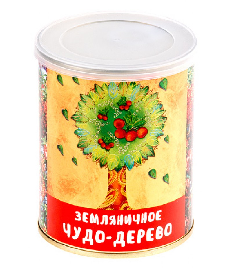 411555 Набор для выращивания "Земляничное чудо-дерево"