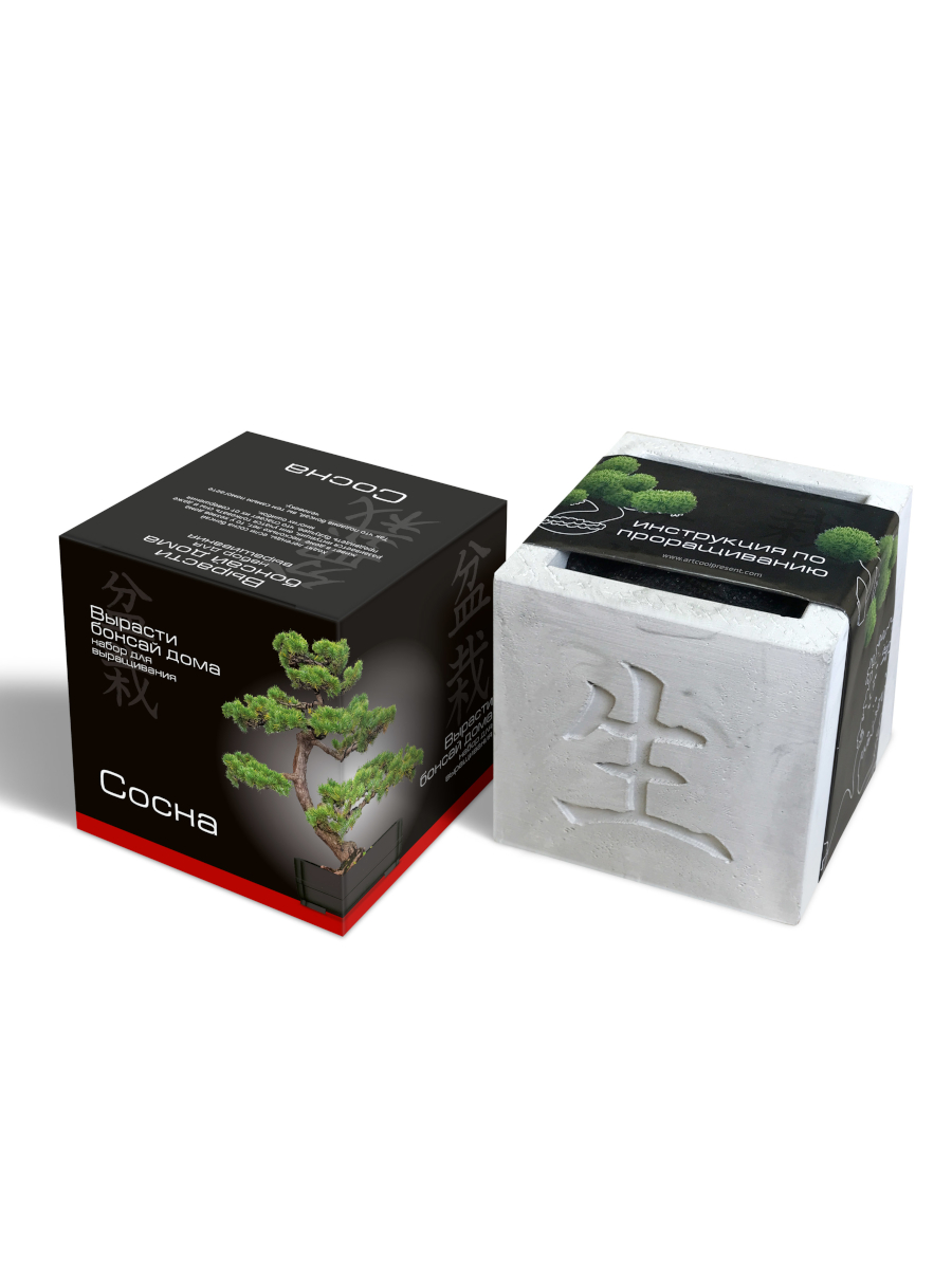 Набор для выращивания "Вырасти Бонсай дома- Сосна"