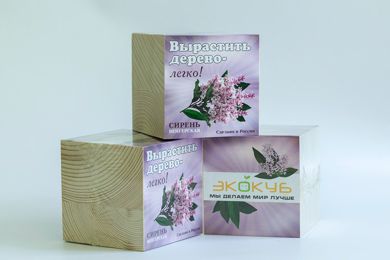 Eco ЭкоКуб "Сирень"