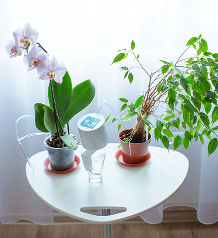 KIT MT4016 Система автоматического полива растений Автолейка